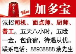 石狮日报数字报 分类广告的数字化设计新视野